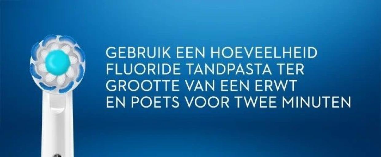 Oral b 2