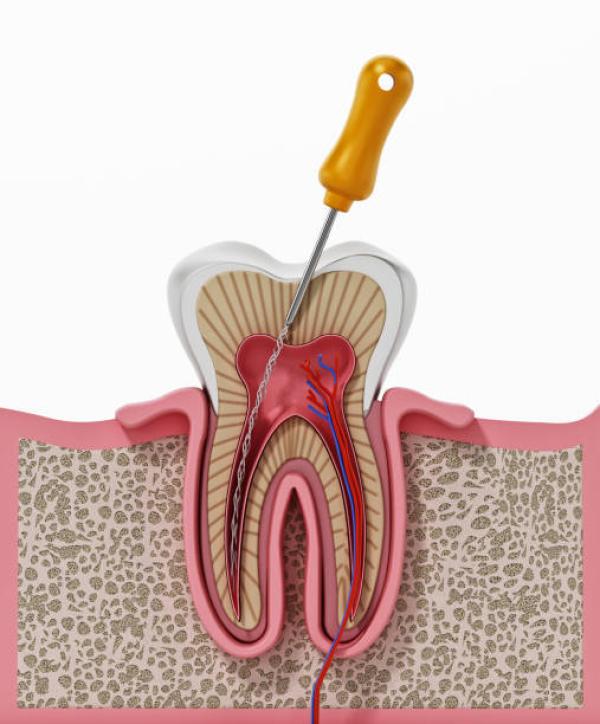 Istockphoto 1312288228 612x612