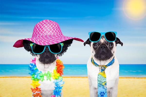 Istockphoto 510785726 612x612